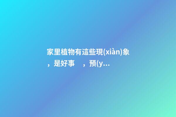 家里植物有這些現(xiàn)象，是好事，預(yù)示你家要發(fā)大財了！